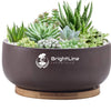Flower Pot Indoor and Outdoor Planter with Drainage Hole,